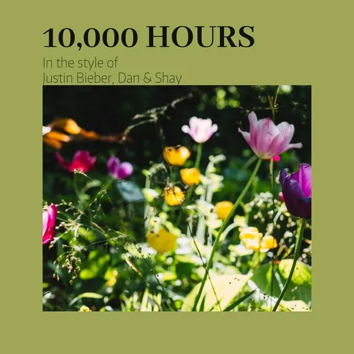 Karaoke 10,000 Hours by Dan + Shay, Justin Bieber — sing along with lyrics on Singa