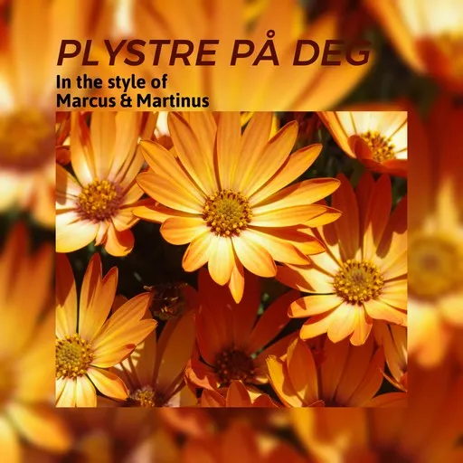 Karaoke Plystre på deg by Marcus & Martinus — sing along with lyrics on Singa