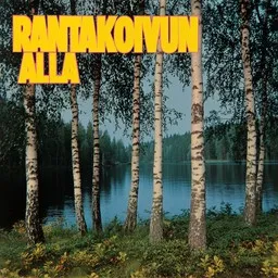 Cover art for Rantakoivun alla - Dallapé,Topi Sorsakoski karaoke version