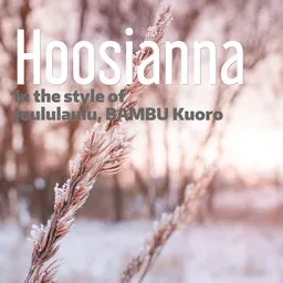 Cover art for Hoosianna - BAMBU Kuoro,Joululaulu karaoke version