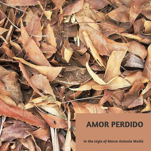 Karaoke Amor Perdido by Marco Antonio Muñiz — sing along with lyrics on Singa