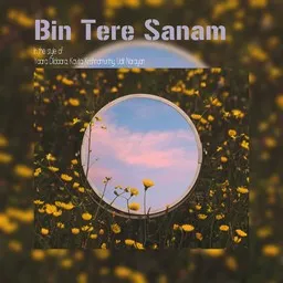 Cover art for Bin Tere Sanam - Kavita Krishnamurthy,Udit Narayan,Yaara Dildaara karaoke version
