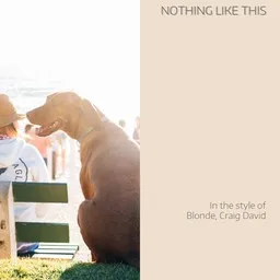 Omslagsbild för Nothing Like This - Blonde,Craig David karaokeversion