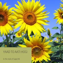 Cover art for Yaad To Aati Hogi - Sajjad Ali karaoke version