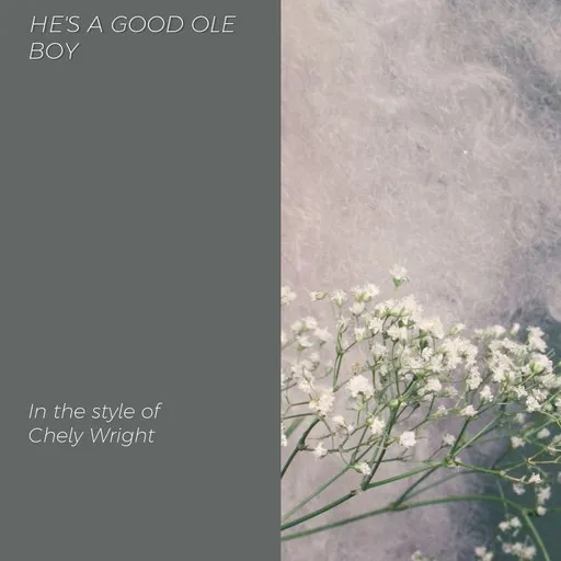 Karaoke He's A Good Ole Boy by Chely Wright — sing along with lyrics on Singa