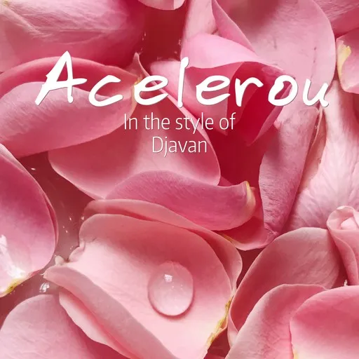 Karaoke Acelerou by Djavan — sing along with lyrics on Singa