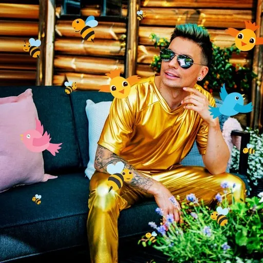 Karaoke Birds And Bees av Antti Tuisku, Vain elämää kausi 10 — sjung med på texten på Singa