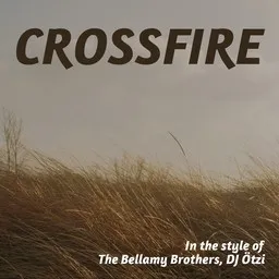 Cover art for Crossfire - DJ Ötzi,The Bellamy Brothers karaoke version