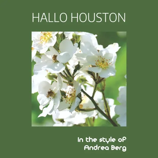 Hallo Houston - Karaoke