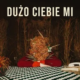 Cover art for Dużo Ciebie Mi - LemON karaoke version