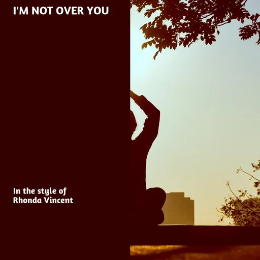I'm Not Over You - Karaoke