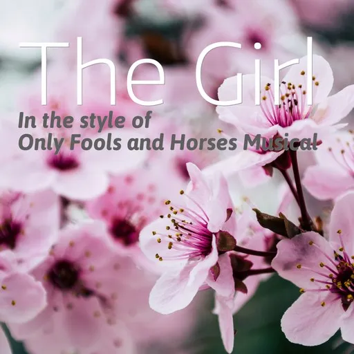 Karaoke The Girl by Only Fools and Horses Musical — sing along with lyrics on Singa