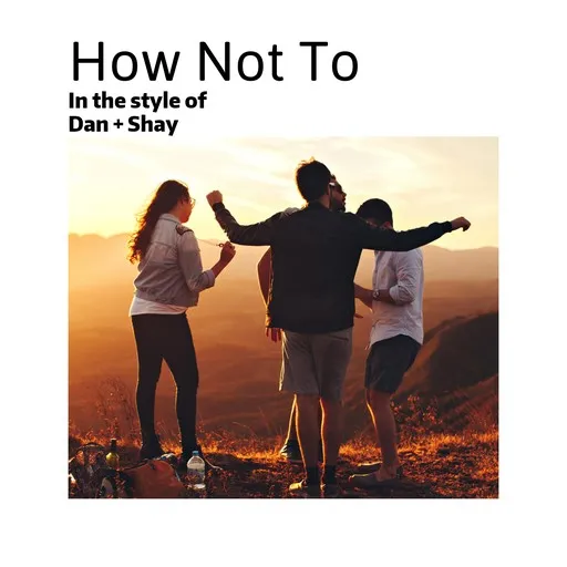 Karaoke How Not To by Dan + Shay — sing along with lyrics on Singa