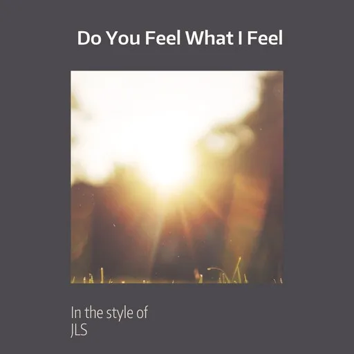 Karaoke Do You Feel What I Feel by JLS — sing along with lyrics on Singa