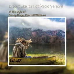 Cover art for Drop It Like It's Hot (Radio Version) - Pharrell Williams,Snoop Dogg karaoke version