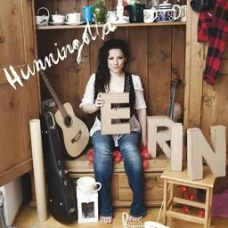 Cover art for Ootte idioottei - Erin karaoke version