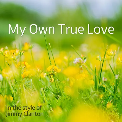 My Own True Love - Karaoke