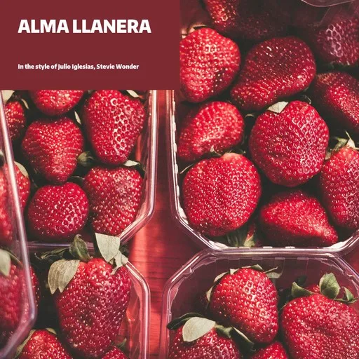 Alma Llanera - Karaoke