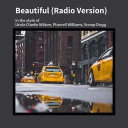 Karaokekappaleen Beautiful (Radio Version) - Charlie Wilson,Pharrell Williams,Snoop Dogg kansikuva