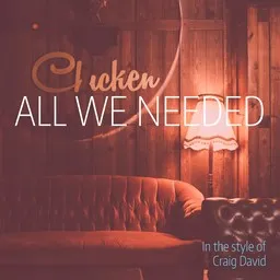 Titelbild für All We Needed - Craig David Karaoke-Version