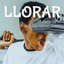Cover art for Llorar - Jesse & Joy,Mario Domm karaoke version
