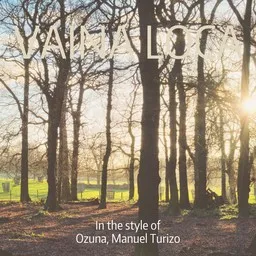 Omslagsbild för Vaina Loca - Manuel Turizo,Ozuna karaokeversion