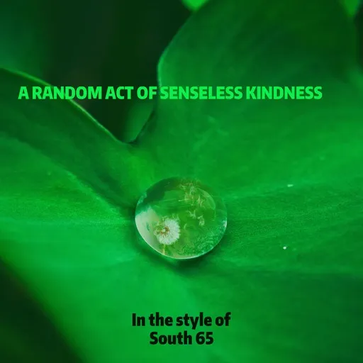 Karaoke A Random Act Of Senseless Kindness by South 65 — sing along with lyrics on Singa