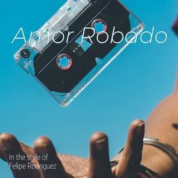 Cover art for Amor Robado - Felipe Rodriguez karaoke version