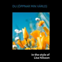Cover art for Du (öppnar min värld) - Lisa Nilsson karaoke version