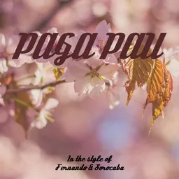 Cover art for Paga Pau - Fernando & Sorocaba karaoke version