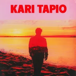 Cover art for Peluri - Kari Tapio karaoke version