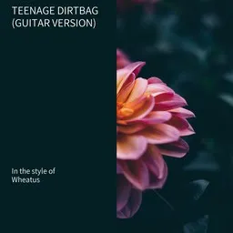 Cover art for Teenage Dirtbag (Guitar Version) - Wheatus karaoke version