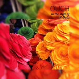 Cover art for Ouch - N-Dubz karaoke version