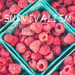 Cover art for Survivalism - Nine Inch Nails karaoke version