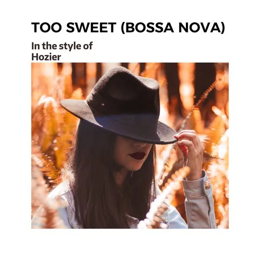 Karaoke Too Sweet (Bossa Nova) esittäjältä Hozier — laula mukana sanoituksilla Singassa