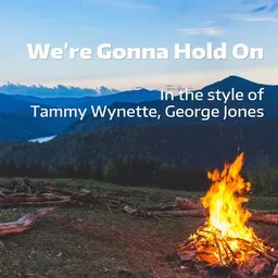Cover art for We're Gonna Hold On - George Jones,Tammy Wynette karaoke version