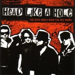 Omslagsbild för Head Like A Hole