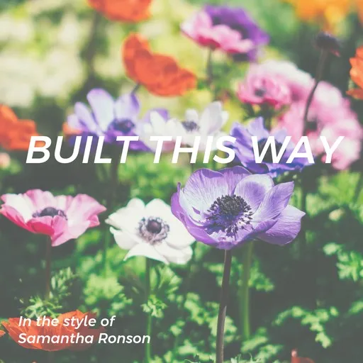 Karaoke Built This Way by Samantha Ronson — sing along with lyrics on Singa