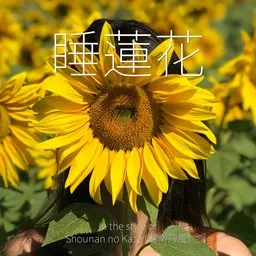 Omslagsbild för Shounan no Kaze (湘南乃風)