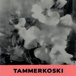 Cover art for Tammerkoski - Humppa-Veikot,Teijo Joutsela karaoke version