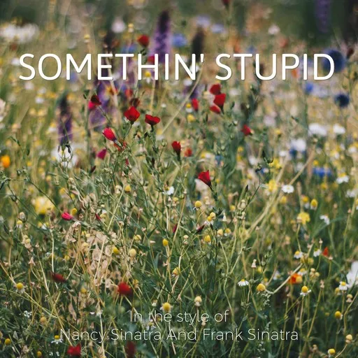 Karaoke Somethin' Stupid by Nancy Sinatra And Frank Sinatra — sing along with lyrics on Singa