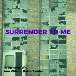 Cover art for Surrender To Me - Ann Wilson,Robin Zander karaoke version