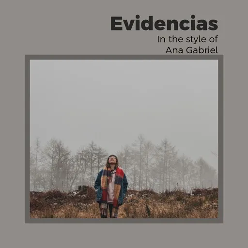Evidencias - Karaoke