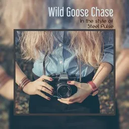Omslagsbild för Wild Goose Chase - Steel Pulse karaokeversion