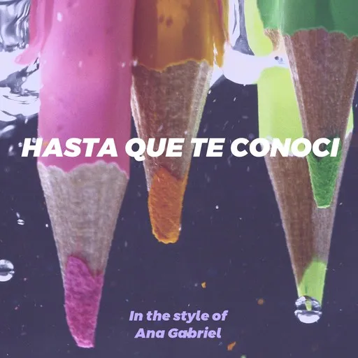 Hasta Que Te Conoci - Karaoke