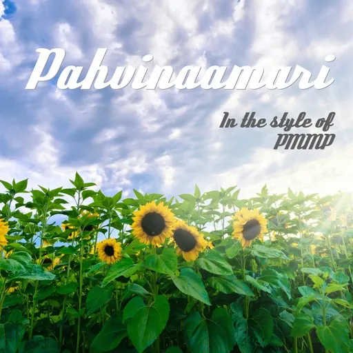 Pahvinaamari - Karaoke