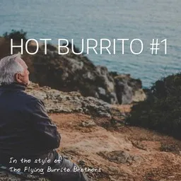 Cover art for Hot Burrito #1 - The Flying Burrito Brothers karaoke version