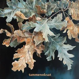 Cover art for Tammenoksat - Isto Hiltunen karaoke version