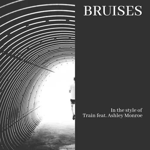 Karaoke Bruises von Train — mit Songtext mitsingen auf Singa