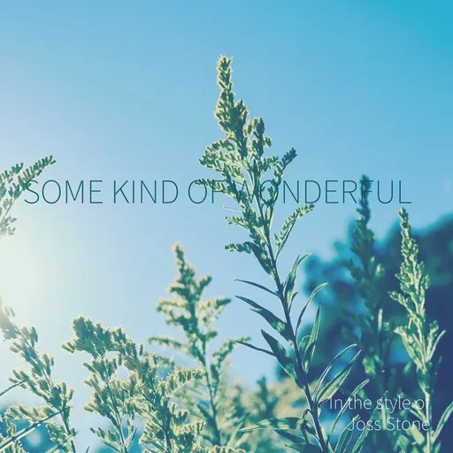 Karaoke Some Kind Of Wonderful by Joss Stone — sing along with lyrics on Singa